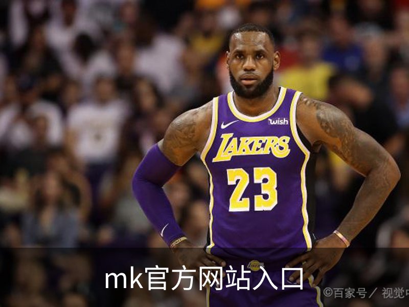 mk官方网站入口简介